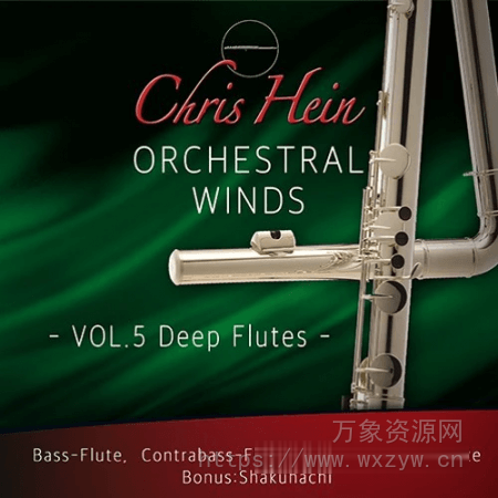 [长笛音源]Chris Hein Winds Vol.5 Deep Flutes [KONTAKT]（9.68Gb）