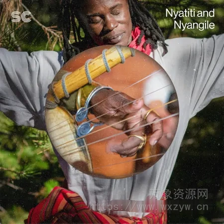 [非洲民族传统乐器采样]Sonic Collective Nyatiti and Nyangile [WAV]（245.60Mb）