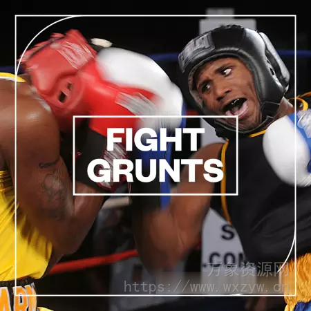[电影动作片FX音效库]Blastwave FX Fight Grunts  [WAV]（14.53MB）