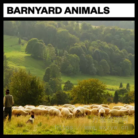 [农场动物综合采样]Big Room Sound Barnyard Animals [WAV]（13Mb）