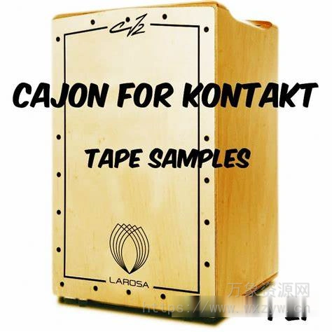 [Cajon卡洪鼓音源]PastToFutureReverbs P2F Cajon for KONTAKT! [KONTAKT]（111.32MB）