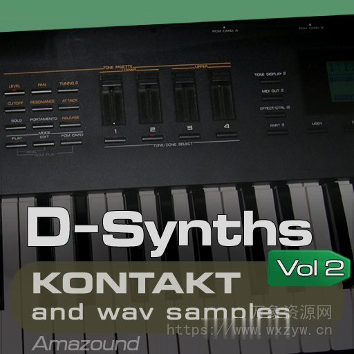 [D70合成器音源]Amazound Samples D-Synths Vol.2 [KONTAKT]（1Gb）