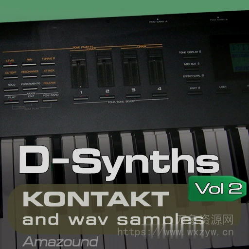 [D70合成器音源]Amazound Samples D-Synths Vol.2 [KONTAKT]（1Gb）
