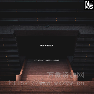 [电影音效] Infinite Samples Pangea v1.2.10 [KONTAKT]（5.02GB）