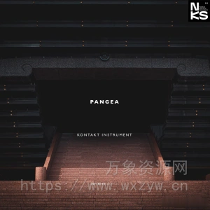 [电影音效] Infinite Samples Pangea v1.2.10 [KONTAKT]（5.02GB）