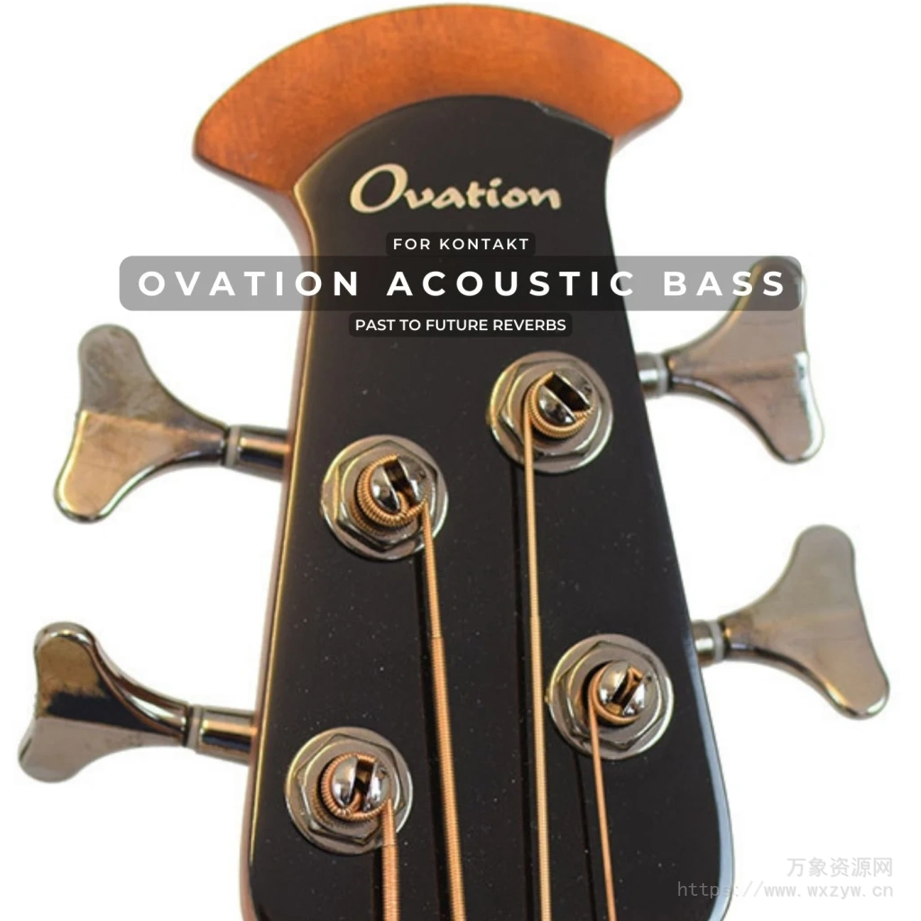 [原声贝司音源]PastToFutureReverbs Ovation Acoustic Bass [KONTAKT]（180.90Mb）