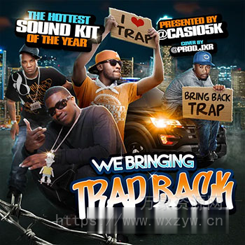 [Trap综合乐器音源]casio5k Trap Back [KONTAKT]（3.05Gb）