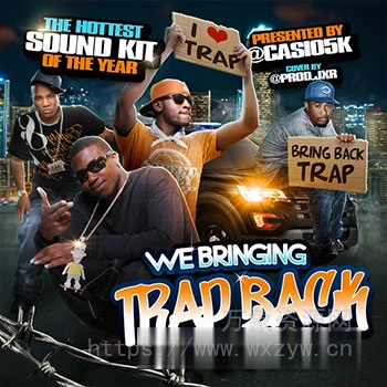 [Trap综合乐器音源]casio5k Trap Back [KONTAKT]（3.05Gb）