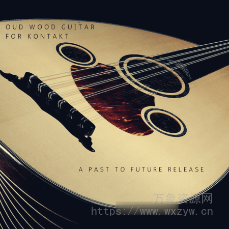 [乌德琴音源]PastToFutureReverbs Oud Wood Guitar for KONTAKT! [KONTAKT]（37.83Mb）