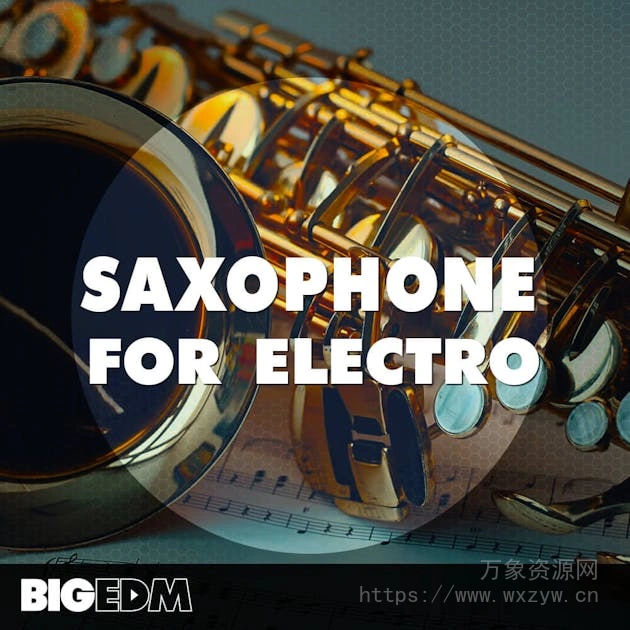 [萨克斯电子乐素材]Big EDM Saxophone For Electro [WAV, MiDi]（752MB）