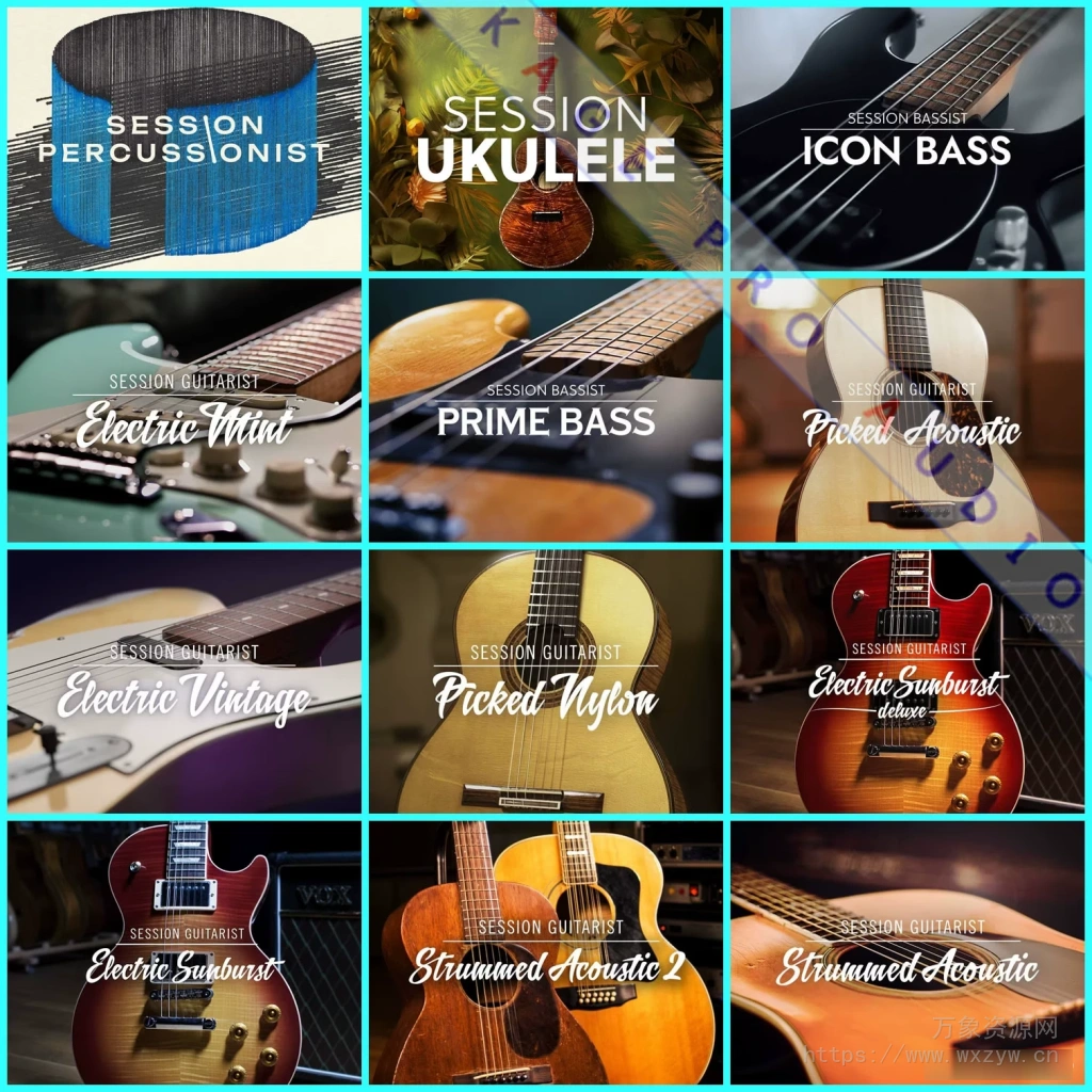 Native Instruments Session Guitarist 系列使用教程（722MB+）