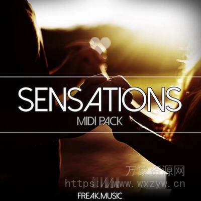 [氛围迷幻电子舞曲素材Ableton工程模板]Freak Music Sensations [WAV, MiDi]（45.93Mb）