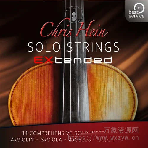[如歌弦乐独奏完整版]Best Service Chris Hein Solo Strings Complete v2.0 [KONTAKT]（29Gb）