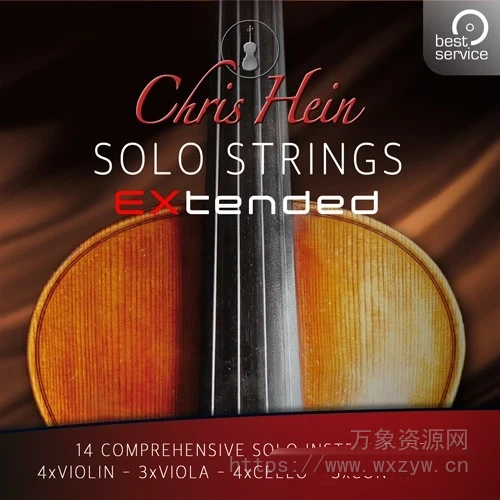 [如歌弦乐独奏完整版]Best Service Chris Hein Solo Strings Complete v2.0 [KONTAKT]（29Gb）