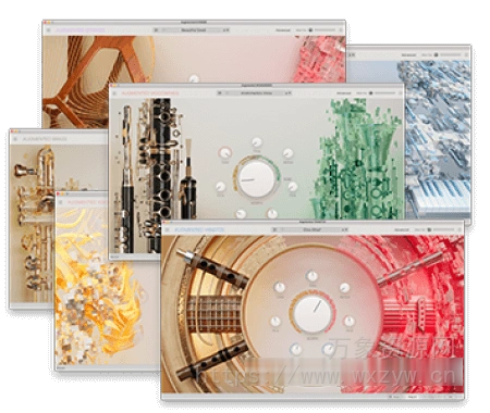 [中国传统乐器六合一套装]Arturia Augmented Series 6 v2024.6.CE [WiN]（15.7Gb）