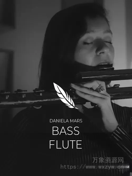 [低音长笛音源]Auddict Daniela Mars Deep Bass Flute [KONTAKT]（13.4Gb）