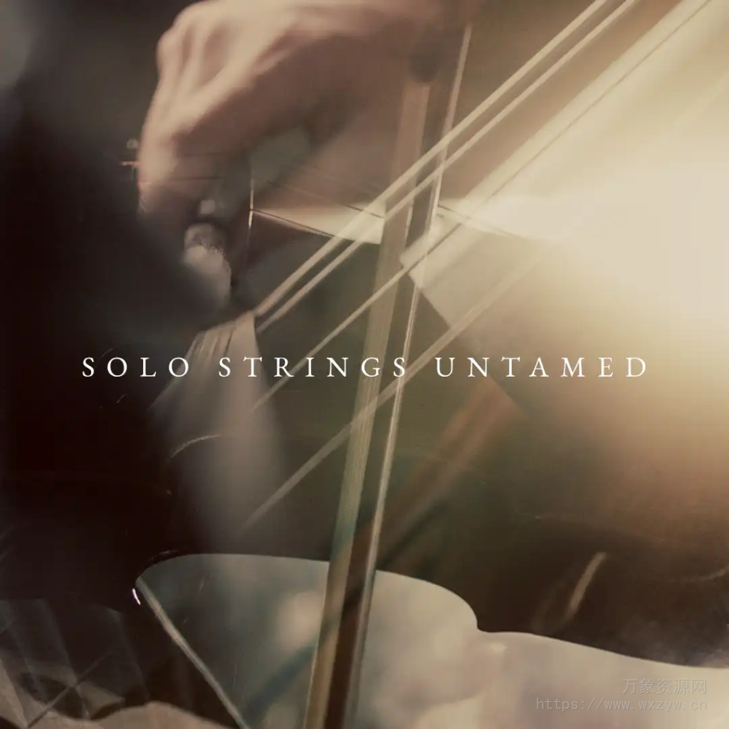 [独奏弦乐音源]Westwood Instruments Solo Strings Untamed v2.1 [KONTAKT]（27.17Gb）
