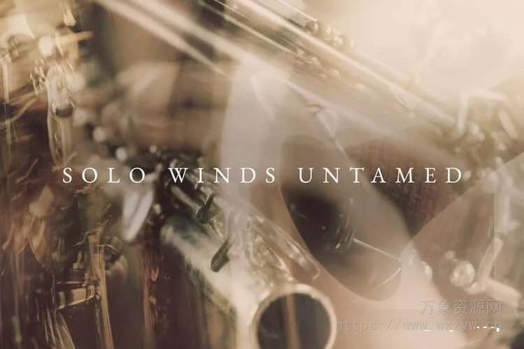 [独奏木管音源]Westwood Instruments Solo Winds Untamed [KONTAKT]（35.74Gb）