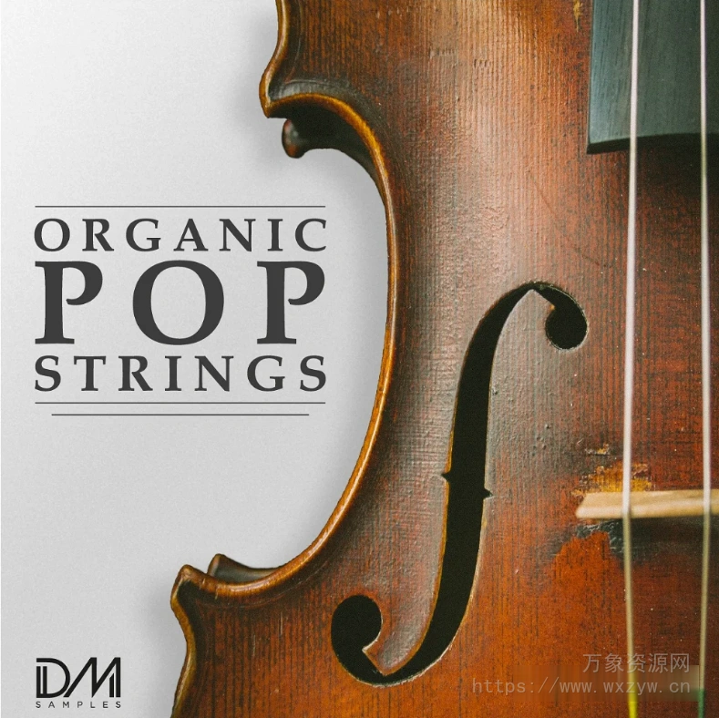 [流行乐采样]DM Samples Organic Pop Strings [WAV]（2.28Gb）