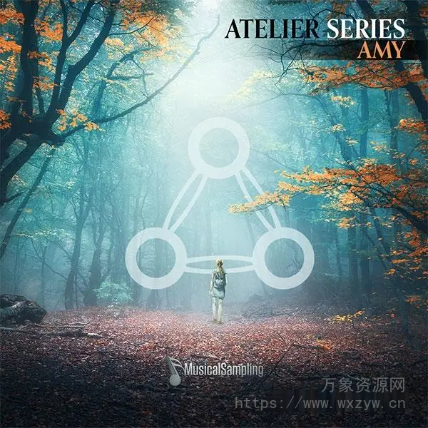 [电影配乐游戏音乐连音声乐库音源]Musical Sampling Atelier Series Amy [KONTAKT]（1.42GB）