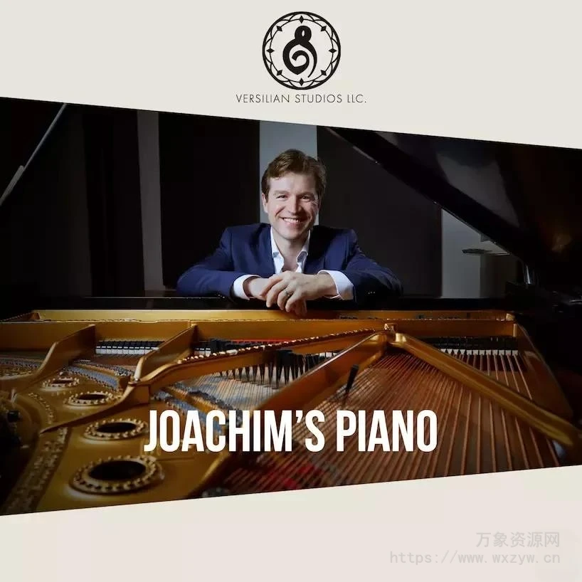 [复古钢琴音源]Versilian Studios Joachim’s Piano [KONTAKT]（16.67GB）