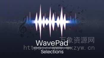 [音频编辑软件]NCH Software WavePad Masters Edition v19.11 [WiN]（3Mb）