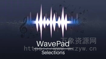 [音频编辑软件]NCH Software WavePad Masters Edition v19.11 [WiN]（3Mb）