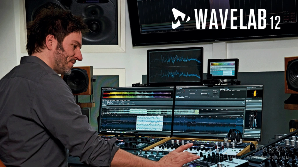 [母带处理]Steinberg WaveLab 12 Pro v12.0.30 U2B  [WiN]（436Mb）