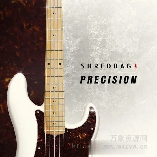 [经典5弦电贝司音源]Impact Soundworks Shreddage 3.5 Precision v2.0.6 [KONTAKT]（3.58Gb）