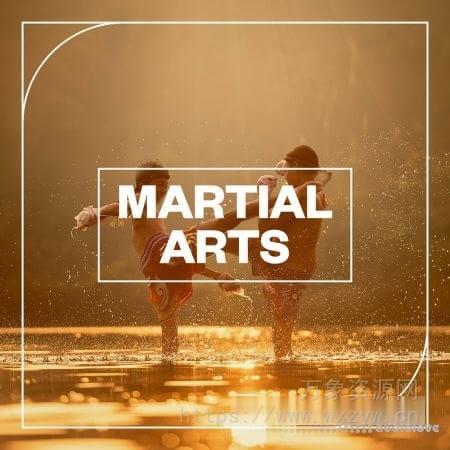 [武打音效FX采样]Blastwave FX Martial Arts [WAV]（9.59Mb）