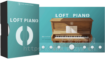 [阁楼钢琴]Echo Sound Works Loft Piano [KONTAKT]（1.24Gb）
