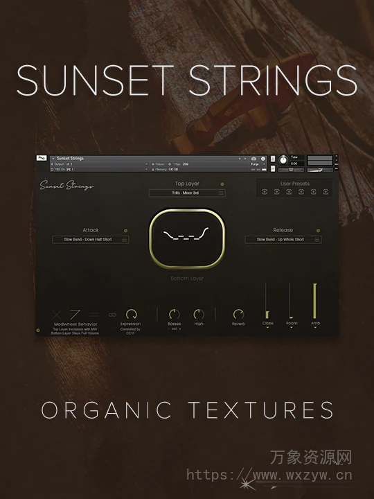 [提琴弦乐库音源]Realitone Sunset Strings v1.1 [KONTAKT]（12.83Gb）