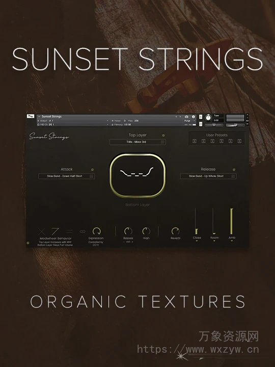 [提琴弦乐库音源]Realitone Sunset Strings v1.1 [KONTAKT]（12.83Gb）