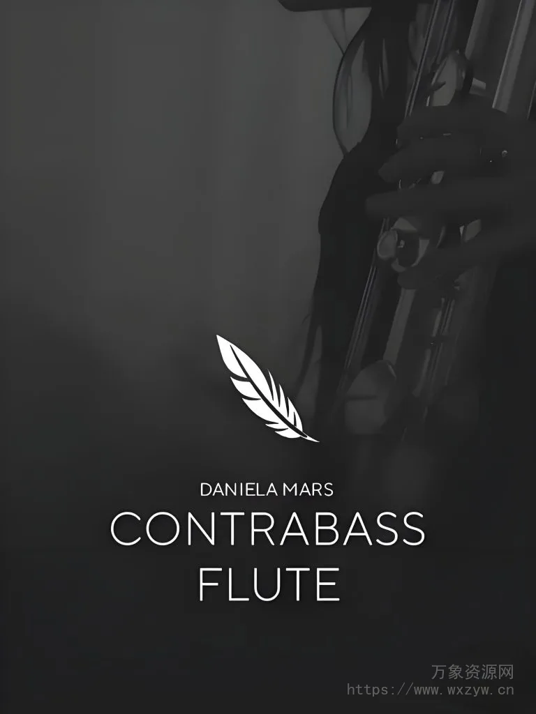 [低音长笛音源]Auddict Daniela Mars Contrabass Flute [KONTAKT]（5.58Gb）