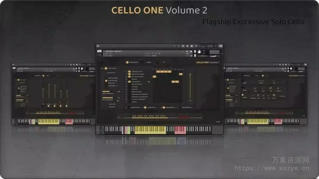 [独奏大提琴音源]Insanity Samples CELLO ONE Volume 2 [KONTAKT]（1.75）