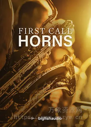 [管弦乐萨克斯铜管音源]Big Fish Audio First Call Horns v2.0 [KONTAKT]（1.44GB）
