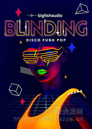 [迪斯科放克流行素材]Big Fish Audio Blinding Disco Funk Pop [多格式]（7.03Gb）
