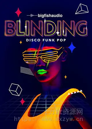 [迪斯科放克流行素材]Big Fish Audio Blinding Disco Funk Pop [多格式]（7.03Gb）