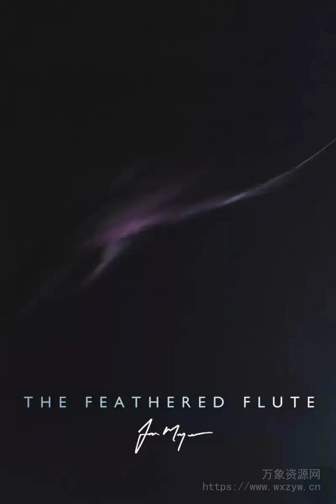 [影视空灵羽毛长笛音源]Spitfire Audio Jon Meyer The Feathered Flute [KONTAKT]（1.25Gb）