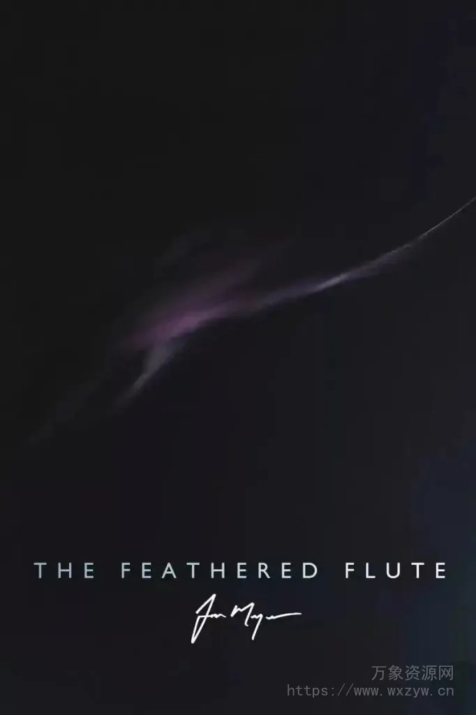 [影视空灵羽毛长笛音源]Spitfire Audio Jon Meyer The Feathered Flute [KONTAKT]（1.25Gb）