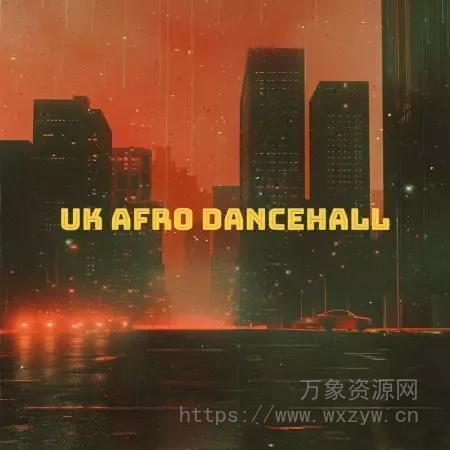 [非洲节奏采样]LEX Sounds UK Afro Dancehall [WAV]（334Mb）