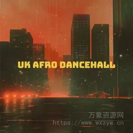 [非洲节奏采样]LEX Sounds UK Afro Dancehall [WAV]（334Mb）