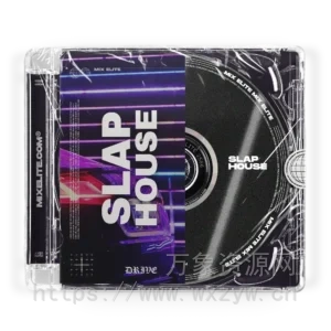 [FL模板Ableton模板前卫浩室]Mix Elite Drive Slap House FL Studio and Ableton Live Template（82Mb）