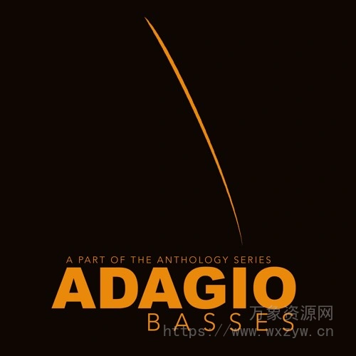 [弦乐贝斯音源]8Dio Adagio Basses 2.0 [KONTAKT]（6.64Gb）