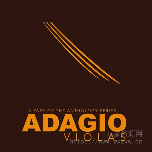 [中提琴音源]8Dio Adagio Violas 2.0 [KONTAKT]（11Gb）