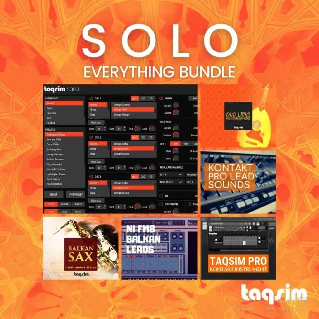 [世界民族合成器]TAQS.IM Solo 3 v3.0.1 [WiN]（789.2Mb）