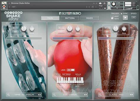 [铃鼓摇铃沙锤小打音源]In Session Audio Shimmer Shake Strike v1.1 Incl. Expansion + Update 2022 [KONTAKT]（406Mb）