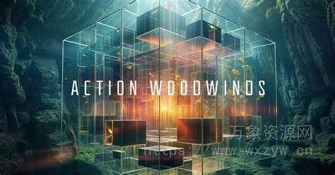[木管乐器合奏音源]Native Instruments Action Woodwinds v1.0.0 [KONTAKT]（20.5Gb）