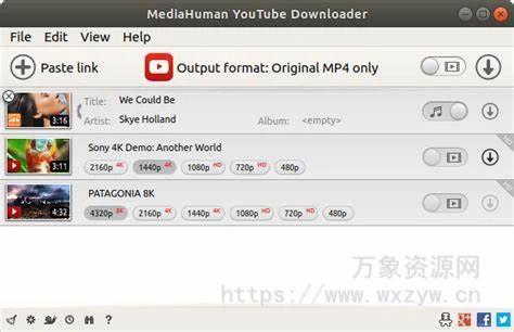 [油管下载工具便携版]MediaHuman YouTube Downloader v3.9.9.88 (0110)  [WiN]（99.76Mb）