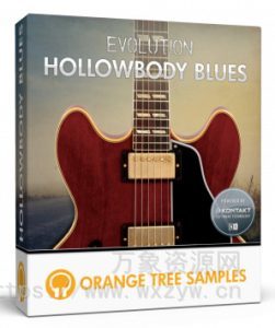 [布鲁斯电吉他音源]Orange Tree Samples Evolution Hollowbody Blues [KONTAKT]（4.42Gb）